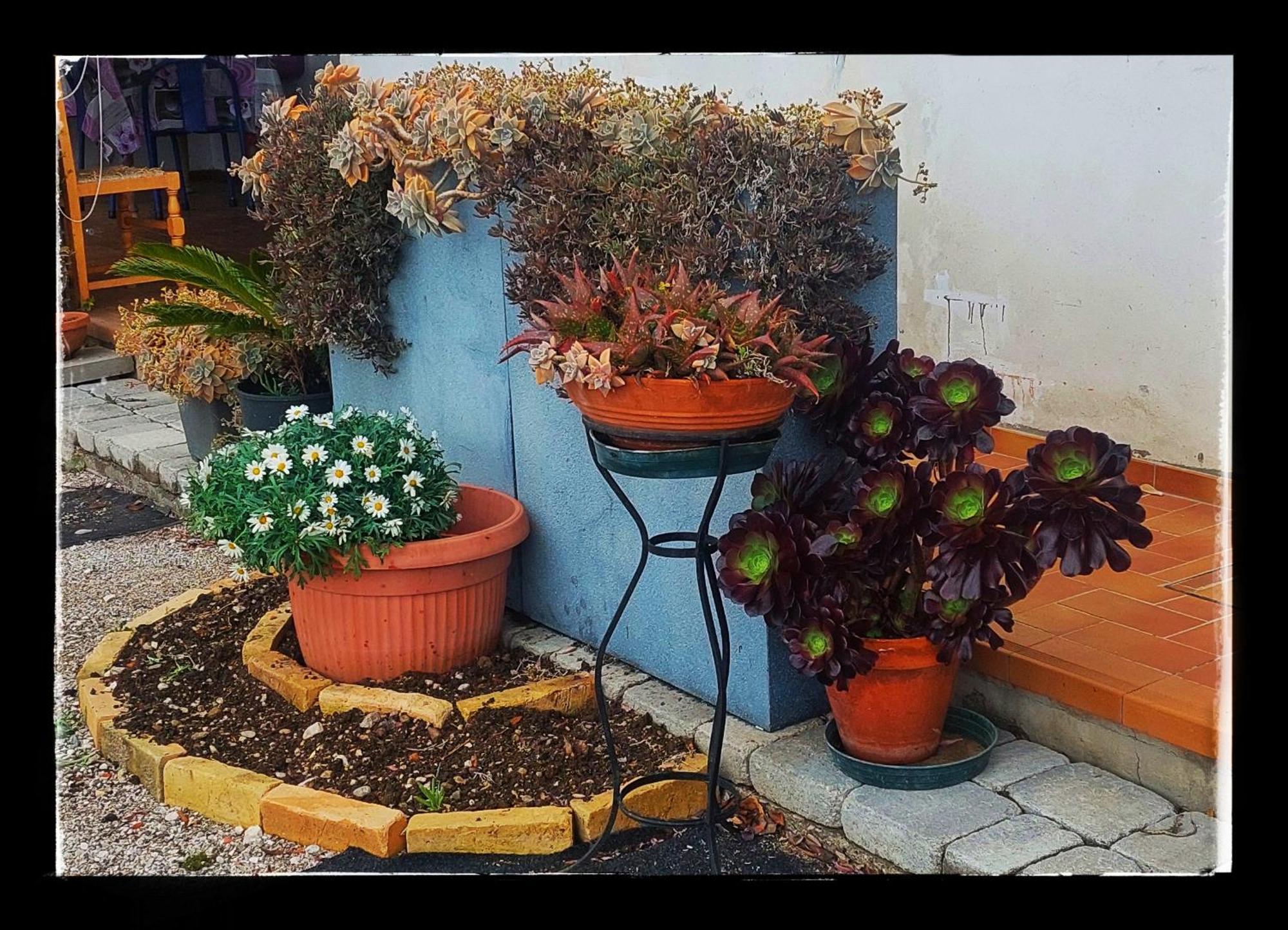 B&B Da Gi&Jo Forgaria nel Friuli Екстер'єр фото